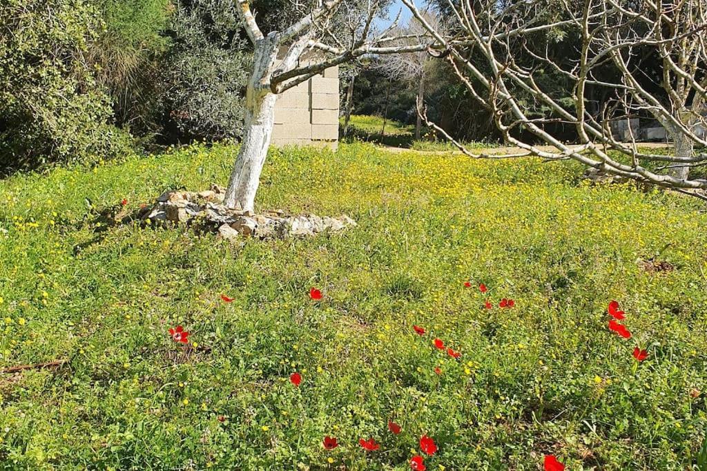מכמנים הבית ליד הבוסתן מראה חיצוני תמונה