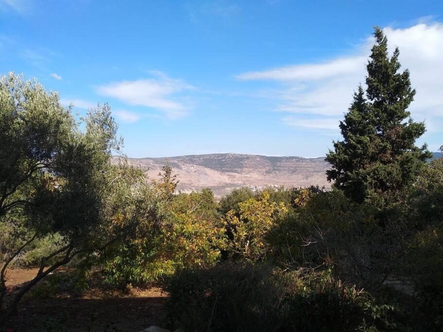 מכמנים הבית ליד הבוסתן מראה חיצוני תמונה